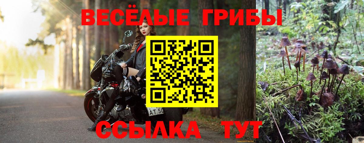 Галлюциногенные грибы мухоморы  Вход с VPN  Фрязино 