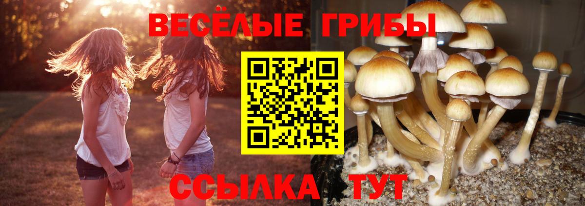 Галлюциногенные грибы ЛСД Фрязино